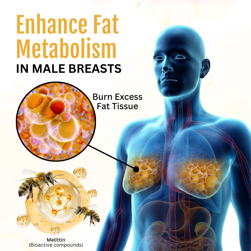 KLENIMORE™ ThermoFirm Bee Venom Gynecomastia Oil