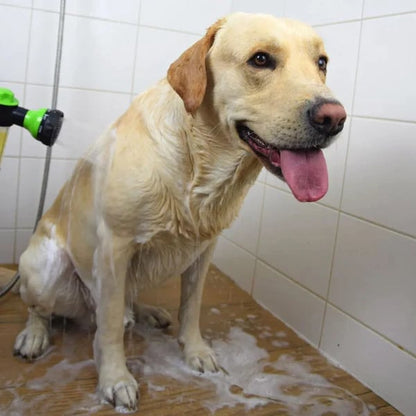 The Original Pup Jet